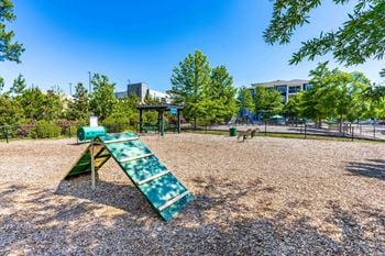 Dog park